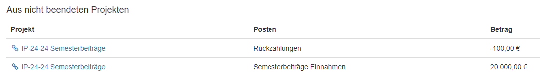 Screenshot mit Übersicht offener Projekte im Haushalt